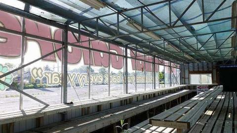 What Plant Where '17 - DSC00027.jpg