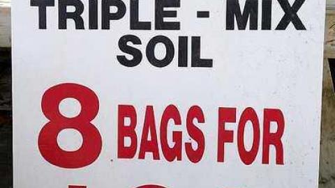 What Plant Where '17 - DSC00036.jpg