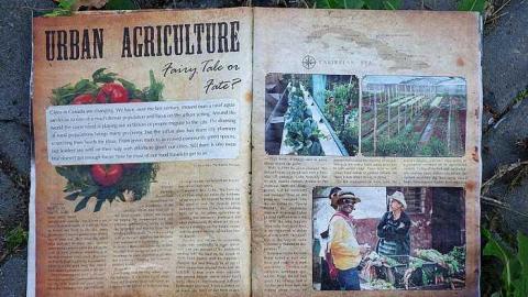 What Plant Where '17 - DSC00044.jpg