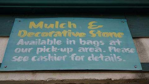 What Plant Where '17 - DSC09829.jpg