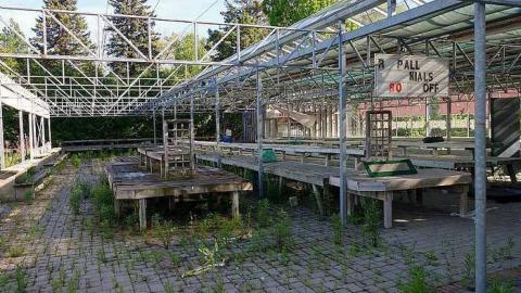 What Plant Where '17 - DSC09832.jpg