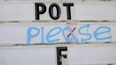 What Plant Where '17 - DSC09836.jpg