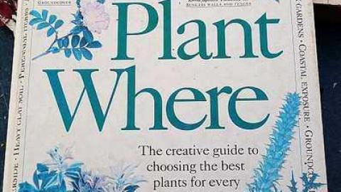 What Plant Where '17 - DSC09858.jpg