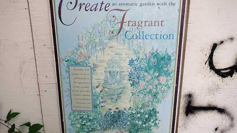 What Plant Where '17 - DSC09862.jpg