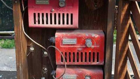 What Plant Where '17 - DSC09877.jpg