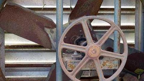 What Plant Where '17 - DSC09880.jpg