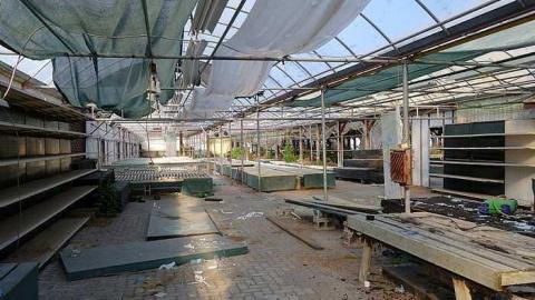 What Plant Where '17 - DSC09893.jpg