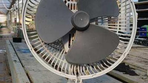 What Plant Where '17 - DSC09904.jpg