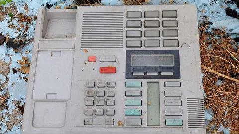 What Plant Where '17 - DSC09908.jpg