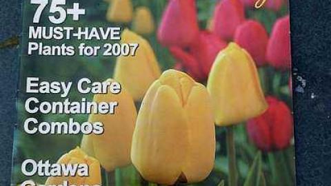 What Plant Where '17 - DSC09930.jpg