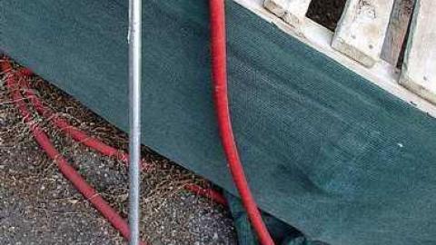 Photo from What Plant Where '17