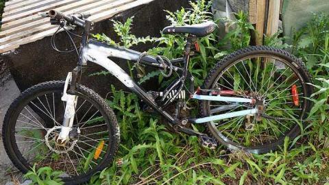 What Plant Where '17 - DSC09960.jpg