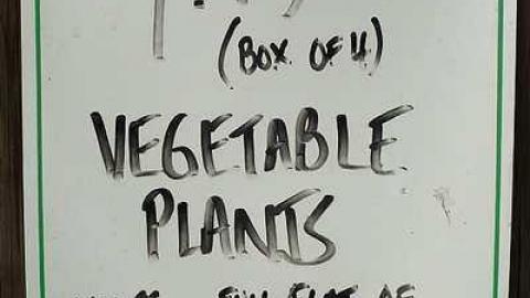 What Plant Where '17 - DSC09985.jpg