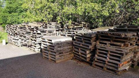 What Plant Where '17 - DSC09987.jpg