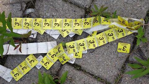 What Plant Where '17 - DSC09988.jpg