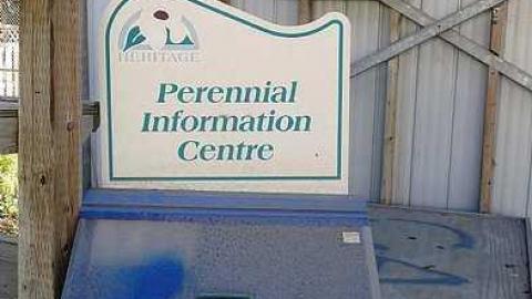 What Plant Where '17 - DSC09989.jpg