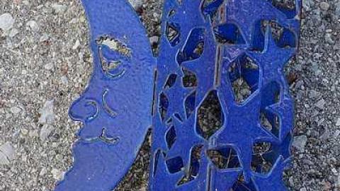 What Plant Where '17 - DSC09996.jpg