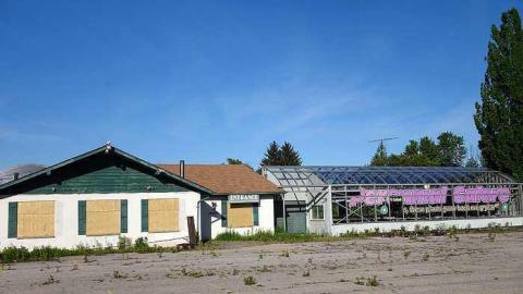 What Plant Where '17 - DSC09998.jpg