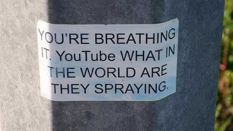 What Plant Where '17 - DSC09999.jpg