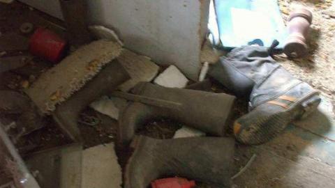 Photo from Another gem gone