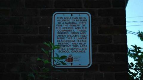 First Visit '11 - Hillside-Public-School9.jpg