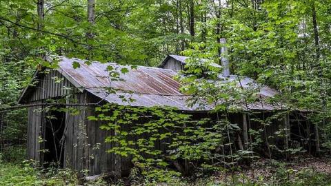 Maple Woods - MapleWoods-Sugarshack4.jpg