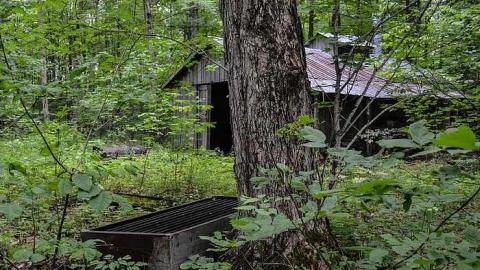 Maple Woods - MapleWoods-Sugarshack17.jpg