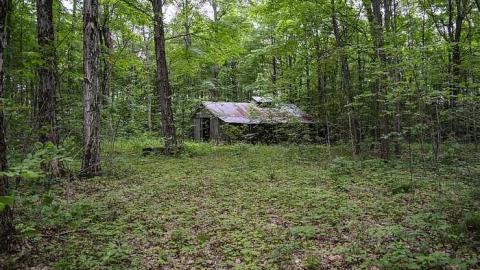 Maple Woods - MapleWoods-Sugarshack5.jpg