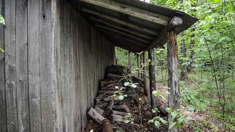 Maple Woods - MapleWoods-Sugarshack13.jpg