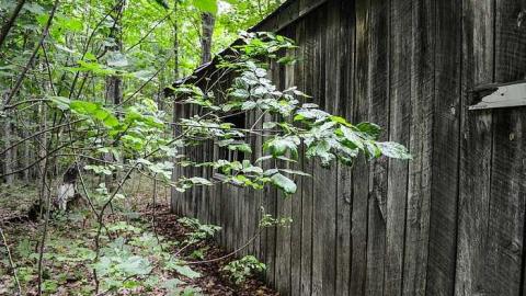 Maple Woods - MapleWoods-Sugarshack20.jpg