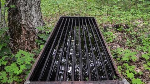 Maple Woods - MapleWoods-Sugarshack19.jpg