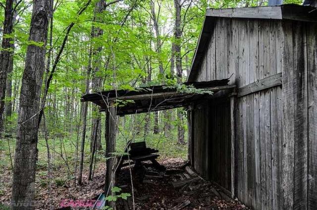 MapleWoods Sugarshack photo 3
