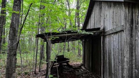 Maple Woods - MapleWoods-Sugarshack7.jpg