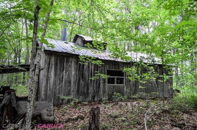 MapleWoods Sugarshack photo 2