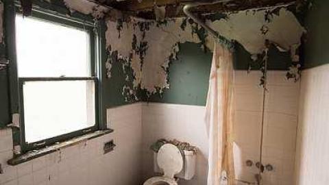 Photo from interesting find 