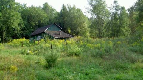 Hobbit House and more - Robertsville-Ghost-Town11.jpg