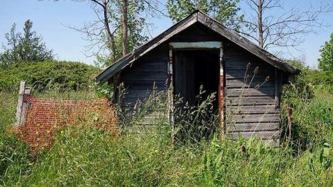 Beware Of The '17 - DSC00494.jpg