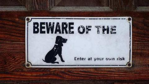 Beware Of The '17 - DSC00508.jpg