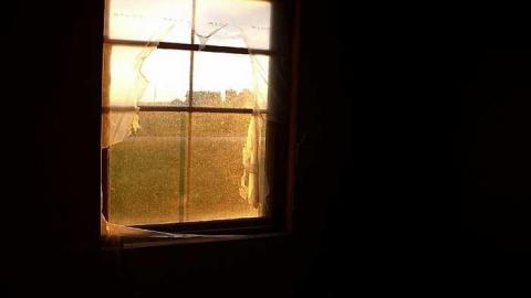 Toy Box - Kids-in-the-House5.jpg