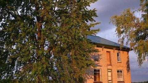 Toy Box - Kids-in-the-House26.jpg