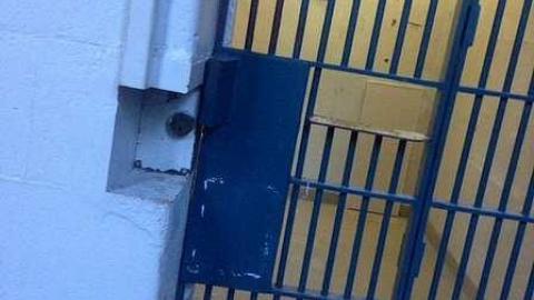 Photo from Kingston Pen 