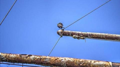 Loose Lips Sink Ships - Le-Grande-Hermine-Ghost-Ship172.jpg