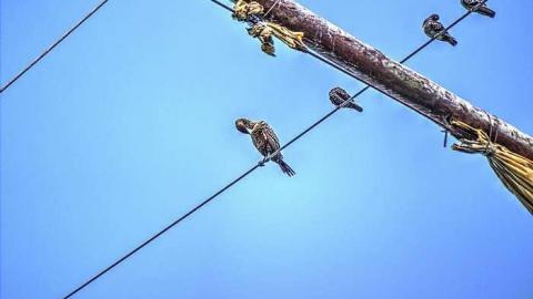 Loose Lips Sink Ships - Le-Grande-Hermine-Ghost-Ship158.jpg