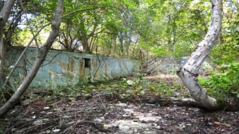 Photo from Sept. 2011