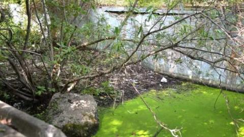 Sept. 2011 - Abandoned-Pool98.jpg