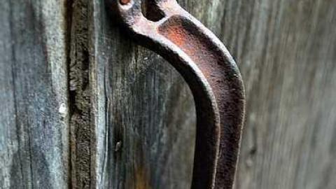 North Whitby Farm - DSC_0640.jpg