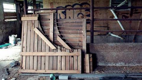 North Whitby Farm - DSC_0638 edit.jpg