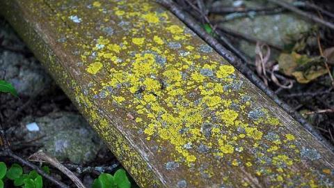 Photo from North Whitby Farm