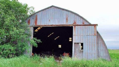 Photo from North Whitby Farm