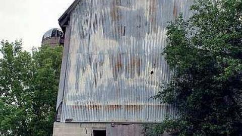 Photo from North Whitby Farm